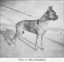 Fax v. Hiltensberg