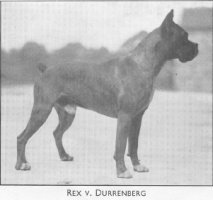 Rex v. Durrenberg