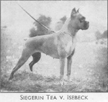 Siegerin Tea v. Isbeck