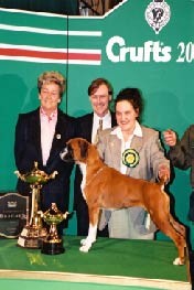 Crufts 2000 - Working Group Winner - CH SANTONOAKS BE BOP A LULA