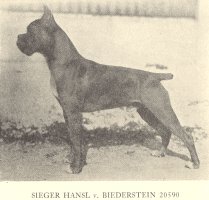 Hansl von Biederstein