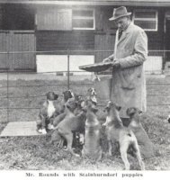 Mr Rounds with Stainburndorf puppies - Taken from OUR DOGS Christmas Number 1959, Page 139