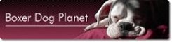 Boxer Dog Planet Logo