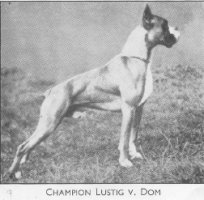 Champion Lustig v. Dom