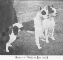 Hutty v. Risstal (Sitting)