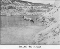 Sprung Ins Wasser