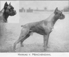 Harras v. Menchendahl