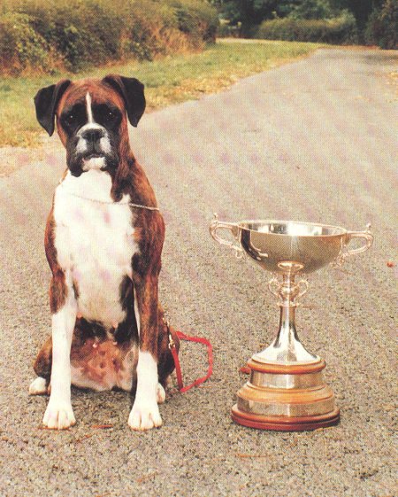 Crufts 1990 BOB - Faerdorn With Love to Shiloh - with Trophy