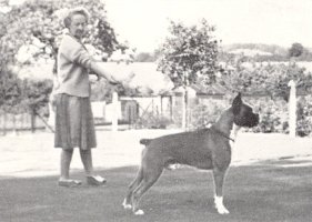 Wardrobes Jelhart's Mack The Knife with Mrs C Wilson Wiley - Right Side View - Photo from Dog World Annual 1963, Page 33